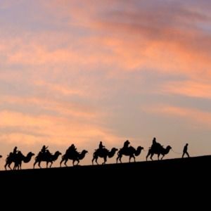 Meet your Posher, Becky